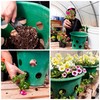 Bloom Master Hanging Baskets - 2 Gallon (3 Pack) -