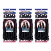 Freetress 3X French Curl Braid 22" (3 Pack, 3T1B3027)