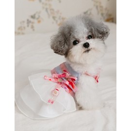 Withory [위드토리] 화온 생활한복 치마버전 (바이올렛) WithTory Warm Lifestyle Hanbok Skirt Version (Violet)