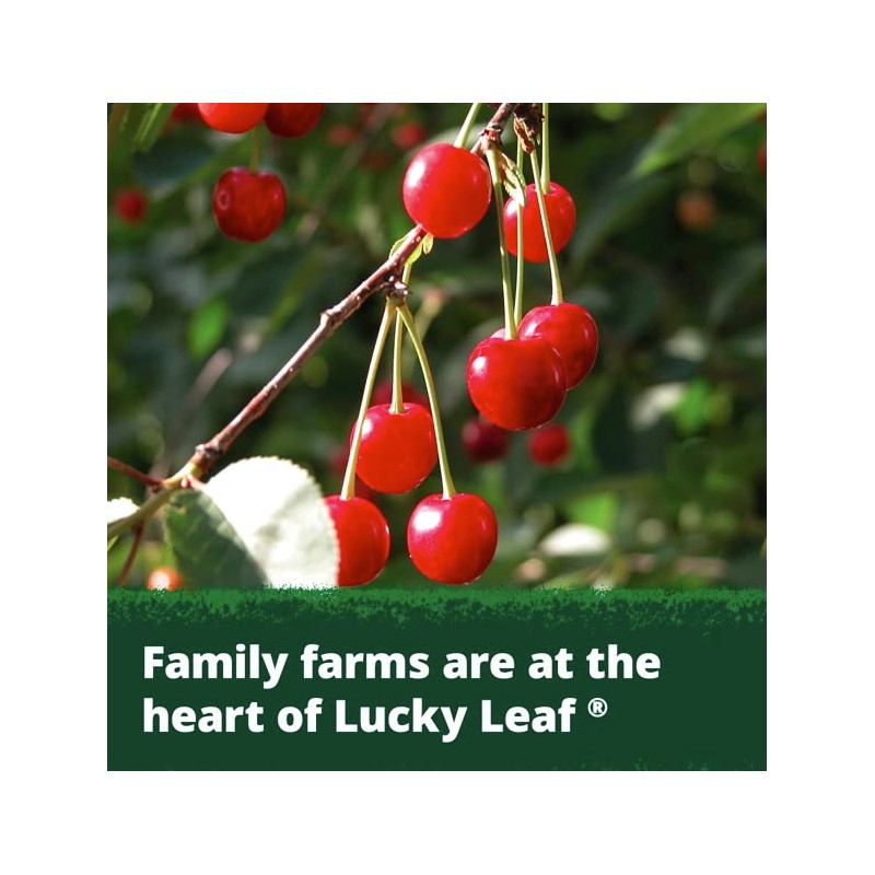 Lucky Leaf Organic Cherry Pie Filling or Topping 21 oz