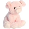 Aurora® Cuddly Pig Stuffed Animal - Cozy Comfort - Endless