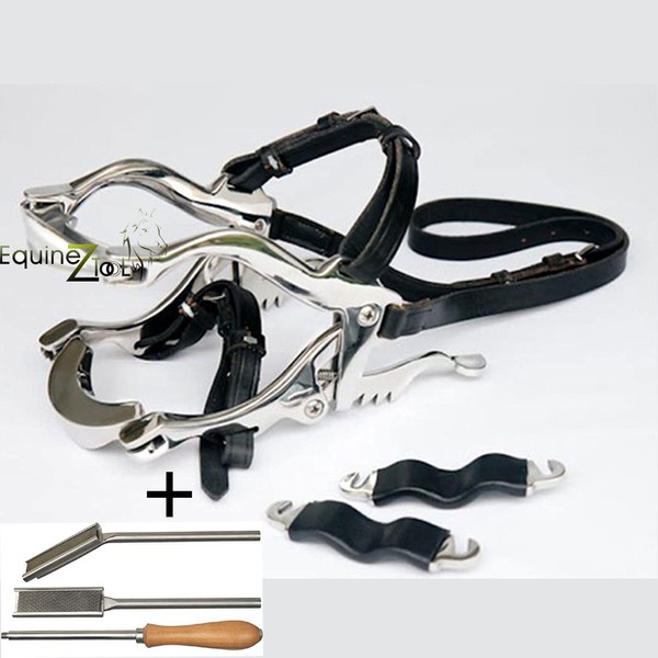 Equine Dental Kit Set Speculum Horse Mouth Gag Float Set Steel Leather McPherson