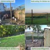 Vocray Bird Netting for Chicken Coop 20x20Ft, 1/2" Mesh, Strong