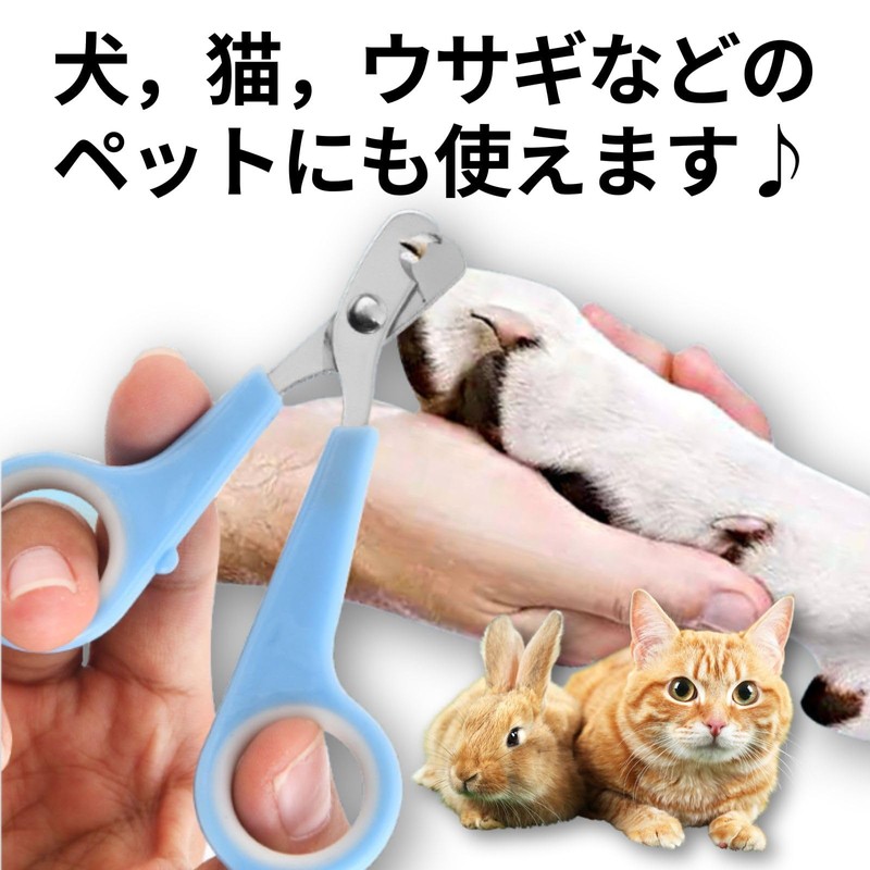 Leap Raupe Parakeet Literary Bird Pet Hamster Cat Small Animal