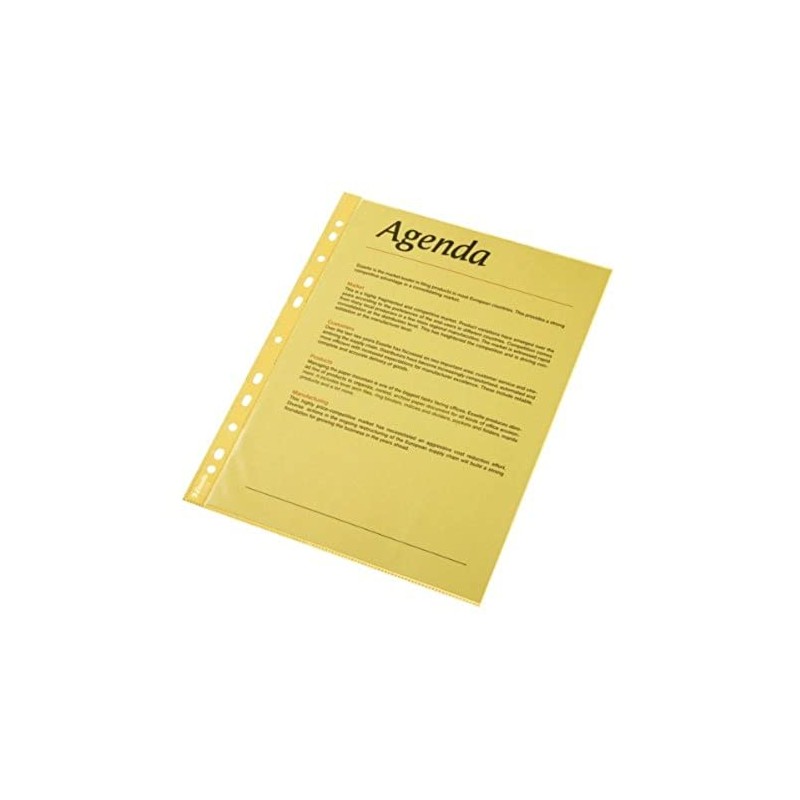 Esselte Quality Punched Pocket, Pack of 10, Holds up to
