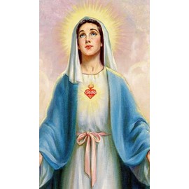 St. Jude Store A Prayer for Melissa U - Laminated holy card - Pack of 25