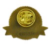 PinMart 15 Years of Service Award Lapel Pin