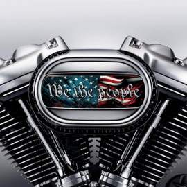 Kustom Cycle Parts We The People American Flag Air Cleaner Cover Insert. Replaces Stock Ventilator Harley Davidson M8 / 114 Insert.
