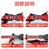 Rabbitgoo Cat Harness and Leash Set, Escape Proof, Soft Chest