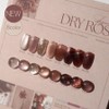 Diesel Signature Dry Rose Magnetic Gel 8 types, 1 piece, 10g, DS 228 / 디젤 시그니처 드라이로즈 자석젤 8종 단품, 1개, 10g, DS 228