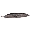 Leaf and Snail Incense Burner, Incense Holder Leaf with Snail