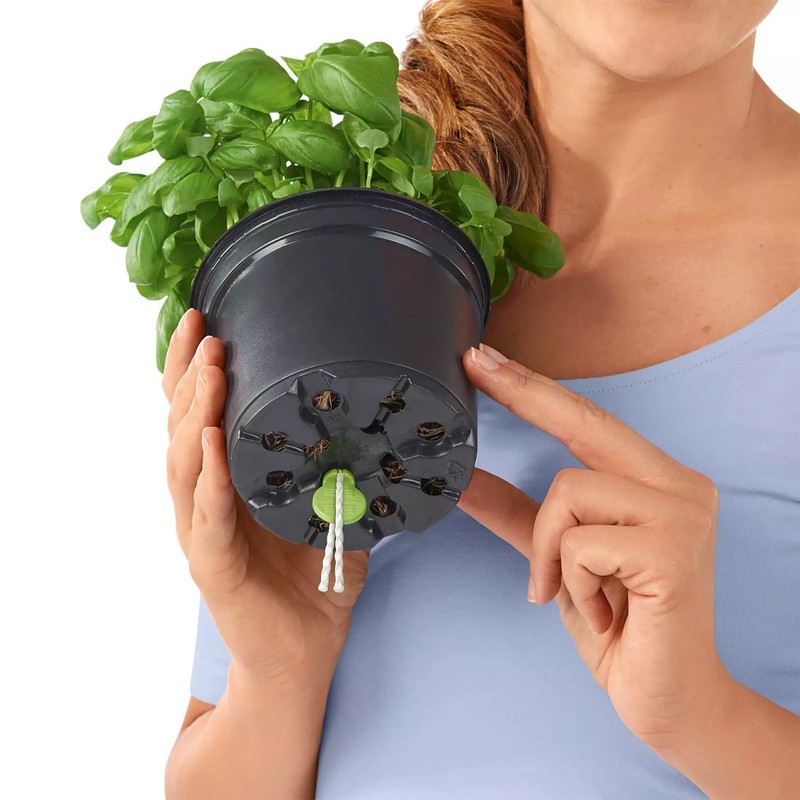 Lechuza Set of 6 watering sticks 11045