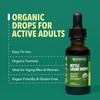 Stinging Nettle Leaf Extract Liquid Drops - USDA Organic -