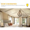 Raheem E14 LED Bulb, Dimmable, 110v 300 Lumens 5000k 40w