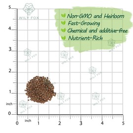 Premium Hibiscus grandiflorus Seeds for Planting – 100+ Non-GMO Heirloom Seeds for Giant Tropical Blooms – Fast-Growing, Easy to Cultivate, High-Yield