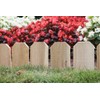 Greenes Fence 10 ft. Cedar Lawn Edging (6-Pack, 60 ft.