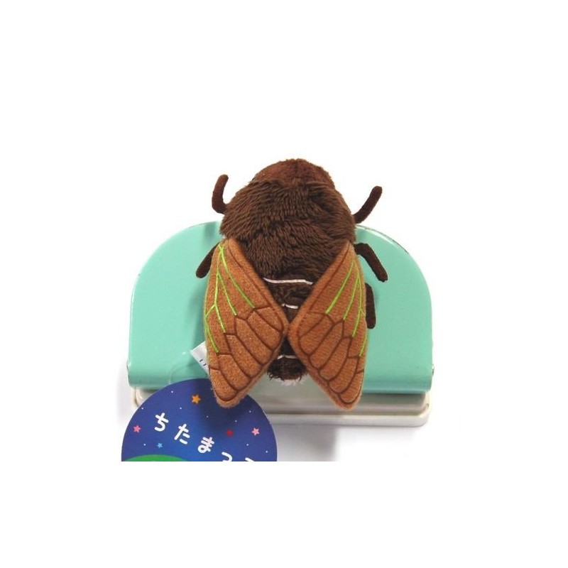 Chitamakko Abrazemi Magnet