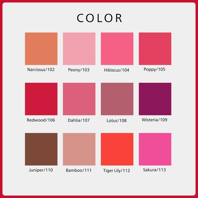SHISEIDO Makeup Color Gel Lip Balm 104 Hibiscus 2g