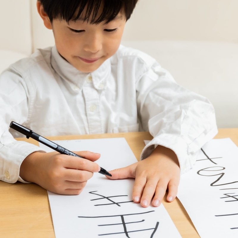 Sakura Crayons Water-Based Pen Writing Practice Felt Pen Extra Thick
