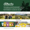 Ricola Sugar Free Original Swiss Herb Cough Drops, 19Count (Pack