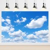 Riivvdise Aquarium Background Blue Sky Tiny Clouds Terrarium Backdrop Cumulus
