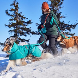 Monsoon Coat II Eco Dog Coat (Peacock 35)