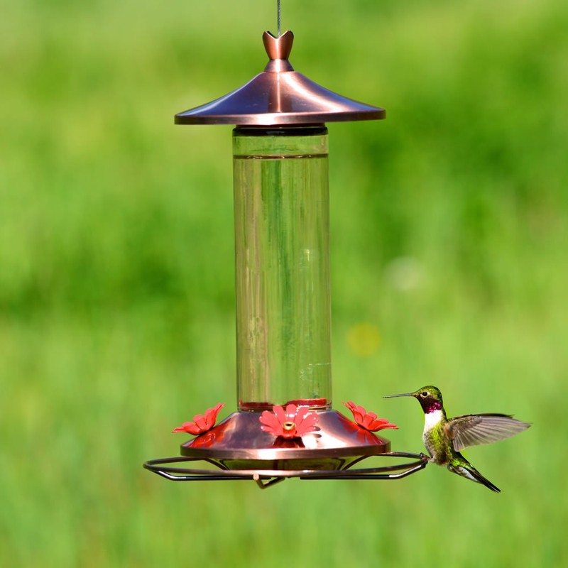 Perky-Pet 710B Elegant Glass Hummingbird Feeder, Copper
