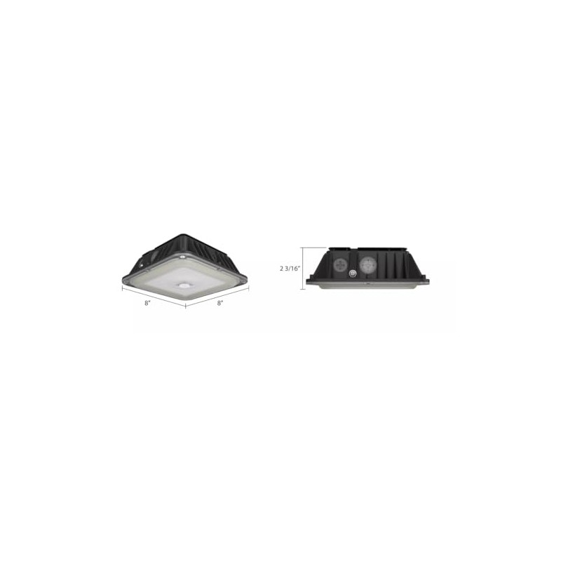 RAB VAN17-30 Ceiling Mount LED Canopy Light 20/25/30W 8""X8"" Field