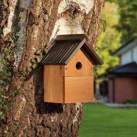 Wild Garden Bird Box, Traditional Wooden Bird House Multi-Purpose Bird Nest Box by Happy Beaks