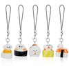 BEEFLYING 5 Pcs Phone Charms Aesthetic Y2K Cute Resin Sushi