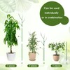 Cinnvoice 12 Pack 39.37" Stackable Plant Support Stakes Plant Support