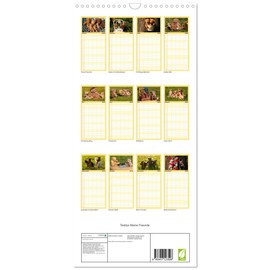 Family Planner 2025 - Teddies My Friends with 5 Columns (Wall Calendar, 21 cm x 45 cm) CALVENDO