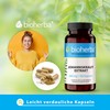 BIOHERBA PZN 17191352 St. John's Wort Capsules - Pack of