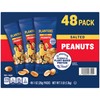 Planters Salted Peanuts (48 1-ounce packs)