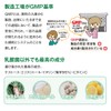 Premium乳酸菌H&JIN グリーン 人用 30包 乳酸菌 サプリ サプリメント エイチジン 人間用