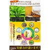 菊芋 イヌリン サラシア コンブチャの新習慣 麹 サラリッチEX イヌリン 36000mg 厳選9種配合 180粒
