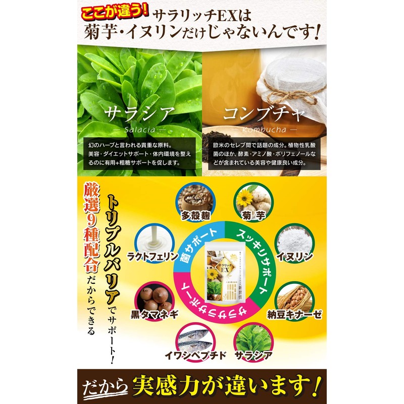 菊芋 イヌリン サラシア コンブチャの新習慣 麹 サラリッチEX イヌリン 36000mg 厳選9種配合 180粒