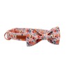 Unique style paws Dog Collar Bow tie Collar Adjustable Collars