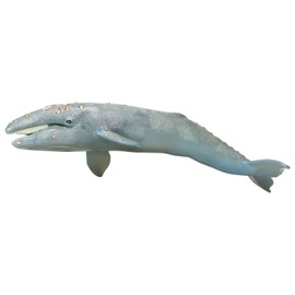 Safari Ltd. Gray Whale Figurine - Lifelike 12.5" Plastic Model Figure - Fun Educational Play Toy for Boys, Girls & Kids Ages 3+