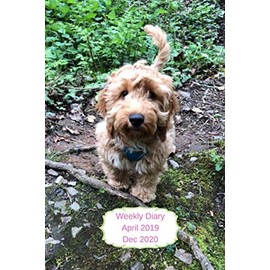 Weekly Diary April 2019-Dec 2020: 6x9 week to a page planner with notes & to do list each week. Extra notes pages included. Perfect for self-employed, ... Cockerpoo with diamond design back cover