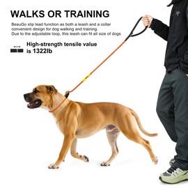 BeauGo Dog Slip Lead Leash，2-in-1 Slip Collar Dog Training Lead & Collar，Heavy Duty Rope No-Pull Training Lead，Duty Suitable for Small, Medium, and Large Dogs 5FT(BLACK2/5in)