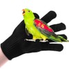 ENDUL Bird Anti-bite Gloves Parrot Hamster Chewing Working Safety Protective