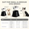 Fluffydream Elevated Dog Bowls,[Prevention of Vertebrae Disease] Non-Slip Dog Bowl