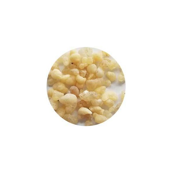 Frankincense sifted incense 1.5 oz