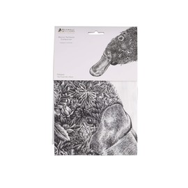 Maxwell & Williams Marini Ferlazzo Tea Towel with Platypus Design, 100% Indian Cotton, White, 50 x 70 cm