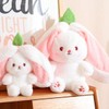 Rabbit Hide Plush | Bunny Cuddly Toy Rabbit Small |