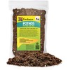 GARDENERA Air-Purifying Plant Potting Mix - 5 Quart - Potting