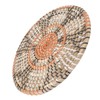 Grass Woven Placemats Nordic Style Innovative Round Placemats for Dining