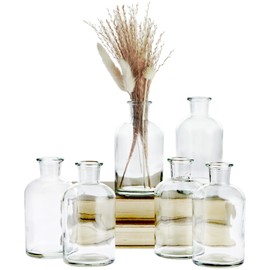 6 Pack Small Glass Vases for Centerpieces, Clear 7.5 oz Propagation Jars for Flowers, Table Centerpieces, Apothecary, Home Decor (2.8 x 5 in)