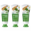 Fruitland 과일나라 세안이야기 알로에 딥 클렌징 폼 120g X 3개 Fruitful Story Aloe Deep Cleansing Foam 120g X 3